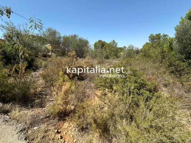 Terreno en venta en la Ribera Alta, Valencia