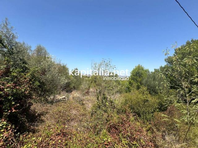 Terreno en venta en la Ribera Alta, Valencia