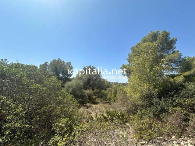 Terreno en venta en la Ribera Alta, Valencia