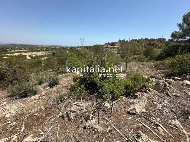 Terreno en venta en la Ribera Alta, Valencia
