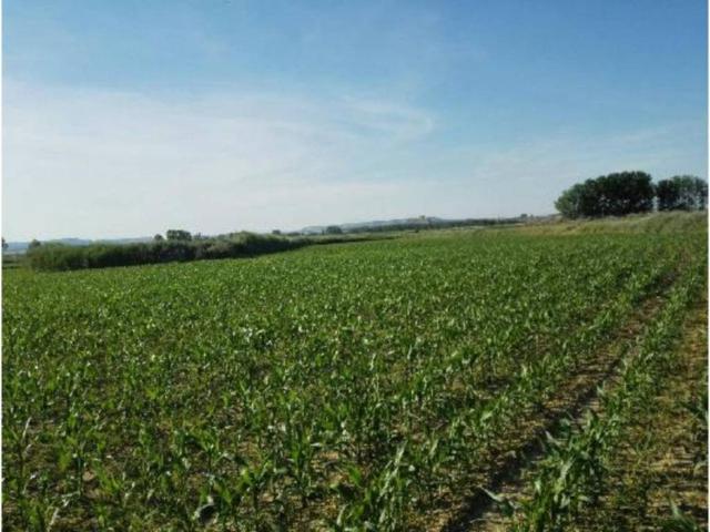Terreno en venta en Los Monegros, Aragón