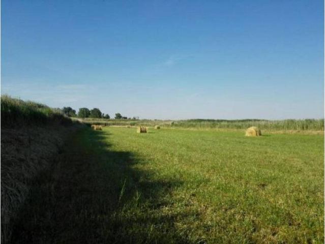 Terreno en venta en Los Monegros, Aragón