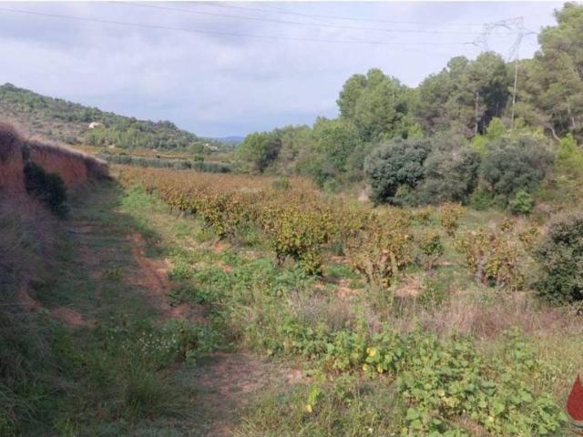 Terreno en venta en Baix Penedès, Catalunya