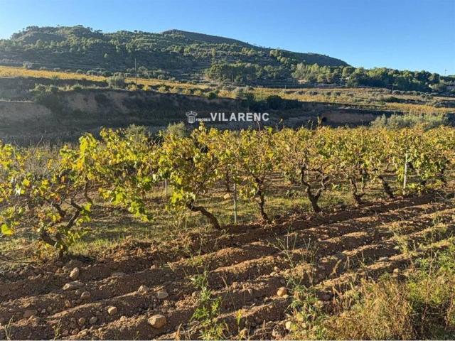 Terreno en venta en Baix Penedès, Catalunya