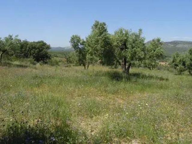 Terreno en venta en l'Alt Maestrat, Valencia