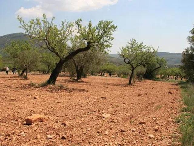 Terreno en venta en l'Alt Maestrat, Valencia