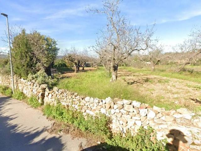 Terreno en venta en l'Alt Maestrat, Valencia