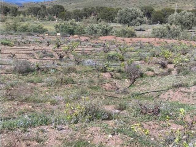 Terreno en venta en Alboloduy, Andalucía