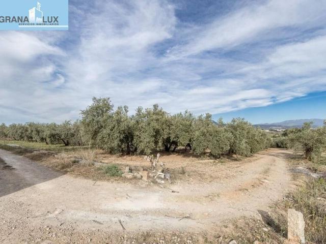 Terreno en venta en Albolote