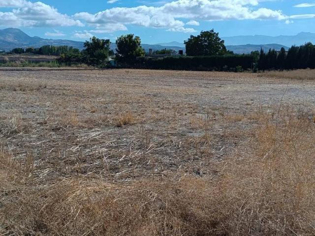 Terreno en venta en Albolote