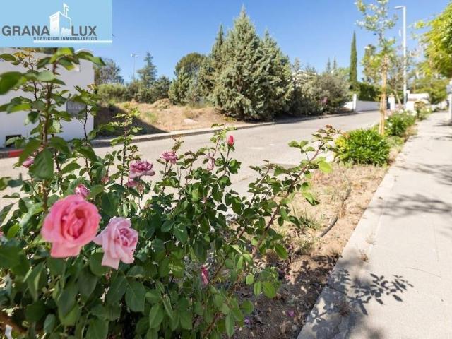 Terreno en venta en Albolote