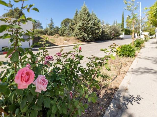Terreno en venta en Albolote, Parque del Cubillas