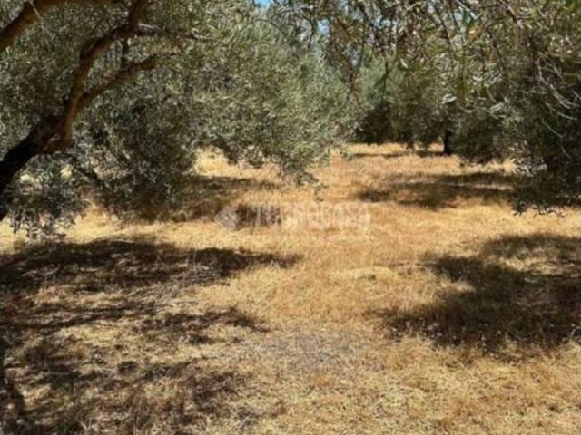 Terreno en venta en Comarca de la Vega de Granada, Andalucía