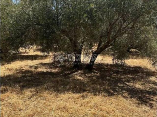 Terreno en venta en Comarca de la Vega de Granada, Andalucía