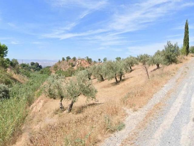 Terreno en venta en Albolote