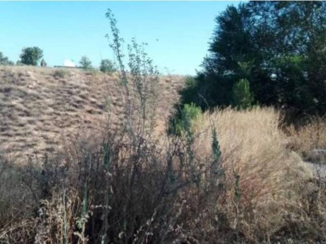 Terreno en venta en Albolote