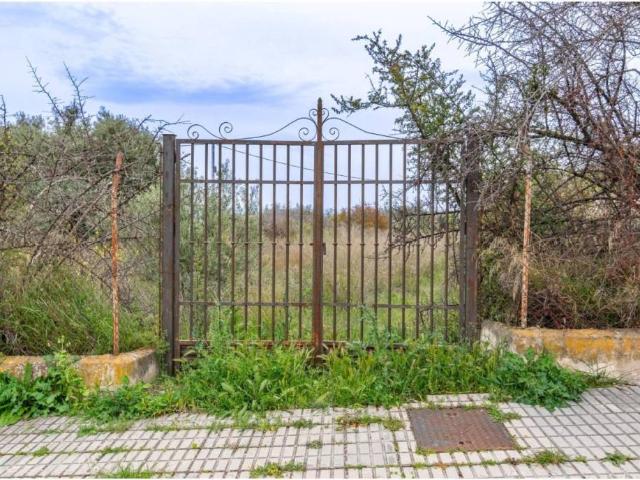 Terreno en venta en Albolote