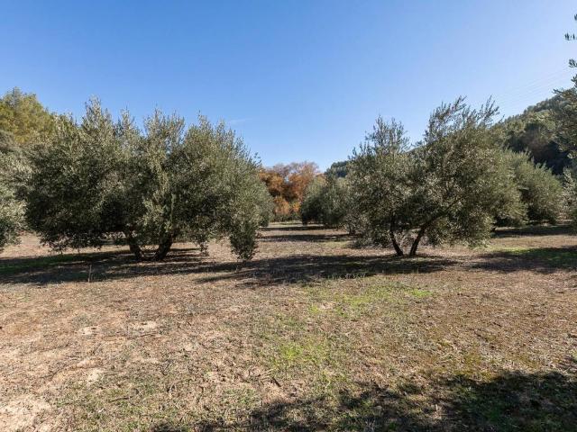 Terreno en venta en Albolote