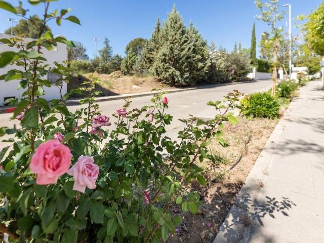 Terreno en venta en Albolote, Parque del Cubillas