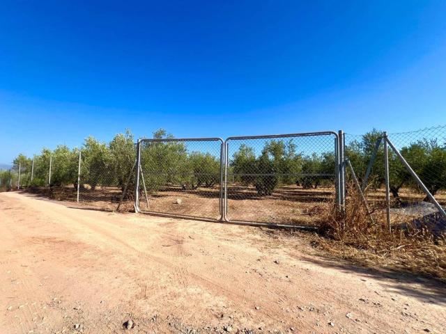 Terreno en venta en Albolote