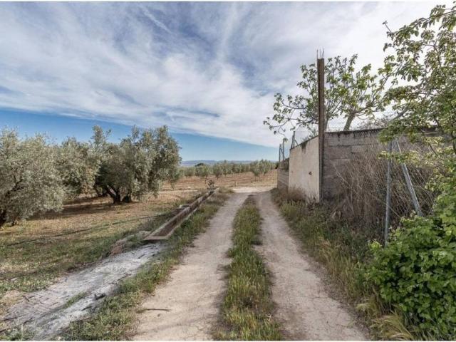 Terreno en venta en Comarca de la Vega de Granada, Andalucía