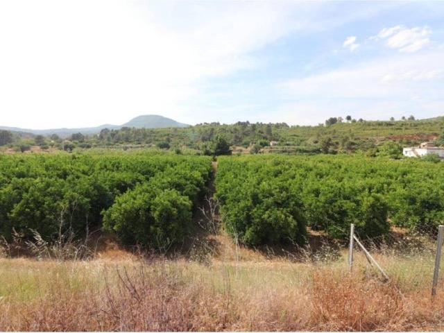 Terreno en venta en La Hoya de Buñol, Valencia