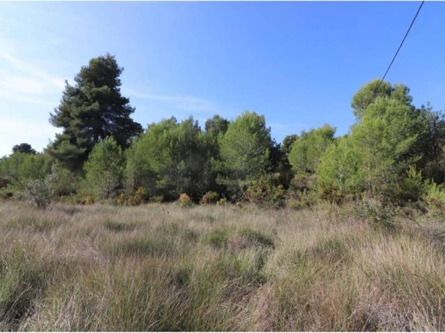 Terreno en venta en La Hoya de Buñol, Valencia