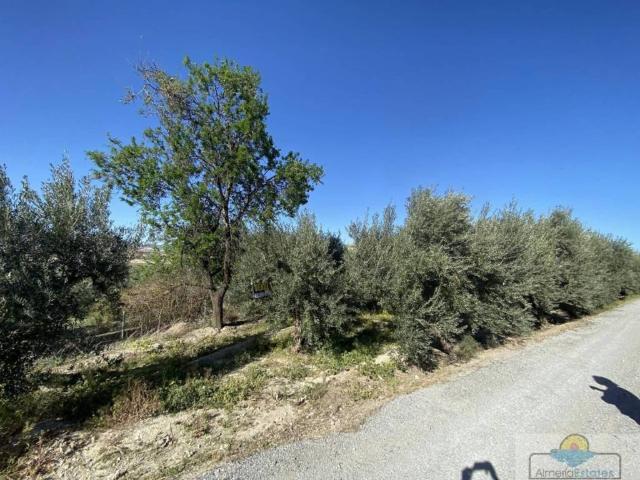 Terreno en venta en Valle del Almanzora, Andalucía