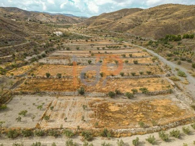 Terreno en venta en Albox, Almería