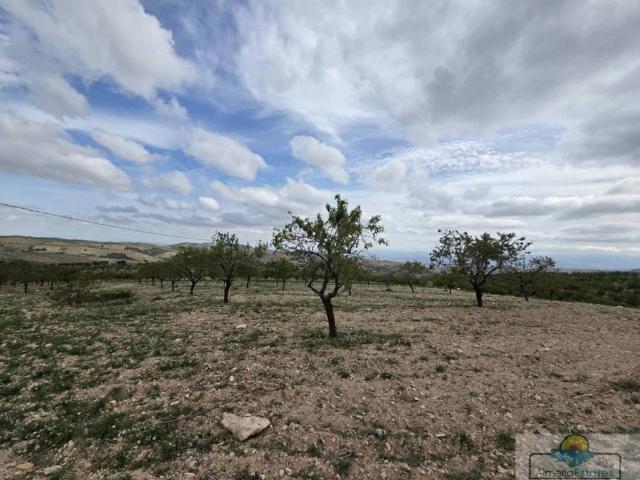 Terreno en venta en Valle del Almanzora, Andalucía