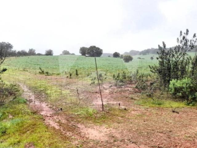 Terreno en venta en Tierra de Badajoz, Extremadura