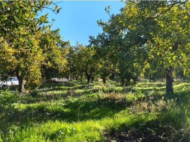 Terreno en venta en Comarca del Valle de Lecrín, Andalucía