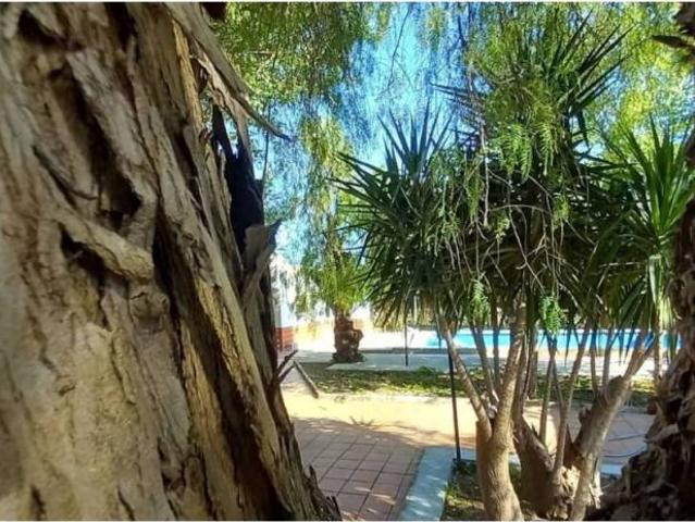Terreno en venta en El Nevero, Alcalá De Guadaíra