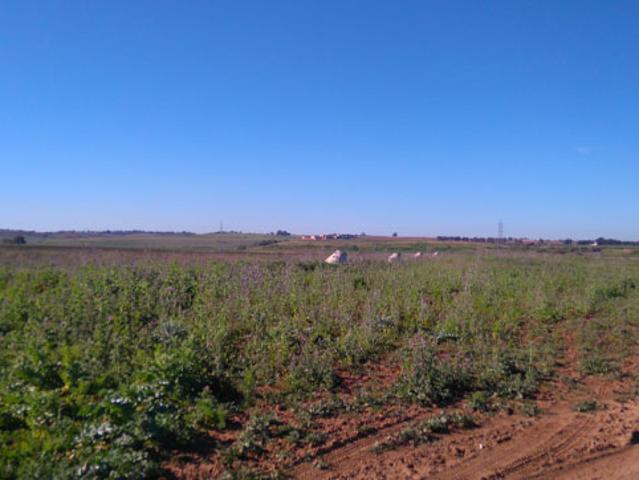 Terreno en venta en Alcalá De Guadaíra, Andalucía