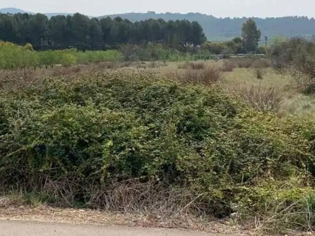 Terreno en venta en el Baix Maestrat, Valencia