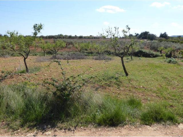 Terreno en venta en Alcossebre, el Baix Maestrat