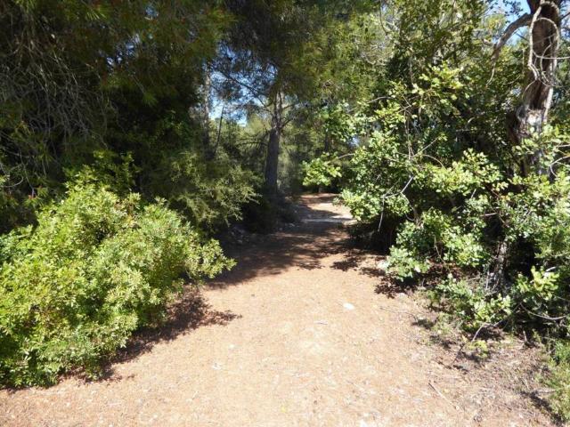 Terreno en venta en Alcossebre, el Baix Maestrat