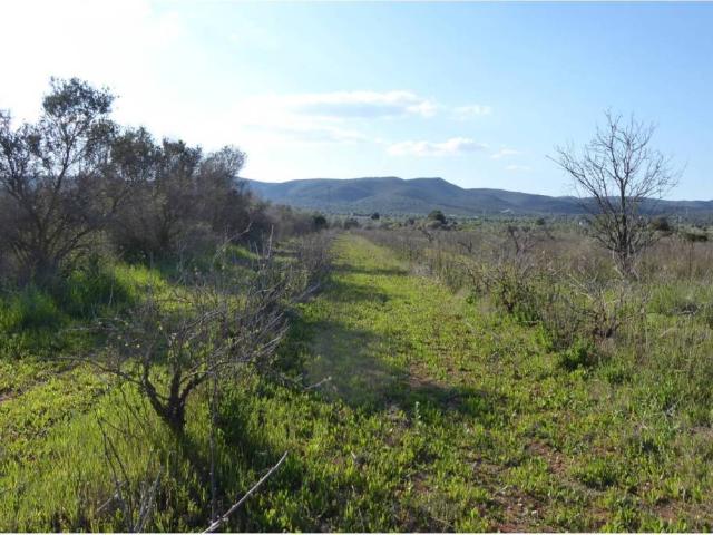 Terreno en venta en Alcossebre, el Baix Maestrat