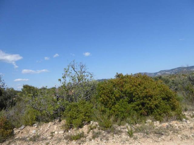 Terreno en venta en Alcossebre, el Baix Maestrat