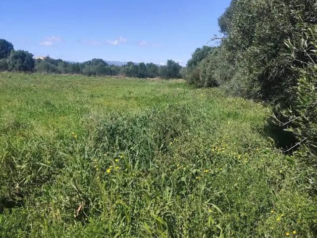 Terreno en venta en Alcossebre, el Baix Maestrat