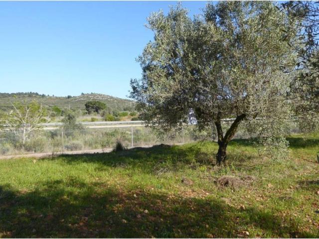 Terreno en venta en Alcossebre, el Baix Maestrat