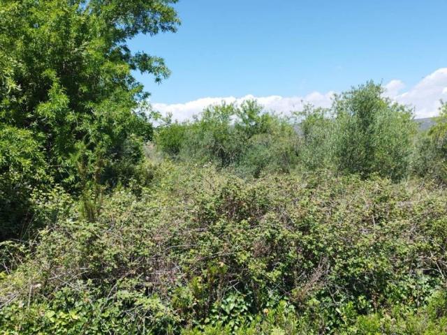 Terreno en venta en el Baix Maestrat, Valencia