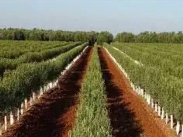 Terreno en venta en Alcalá Del Río, Andalucía