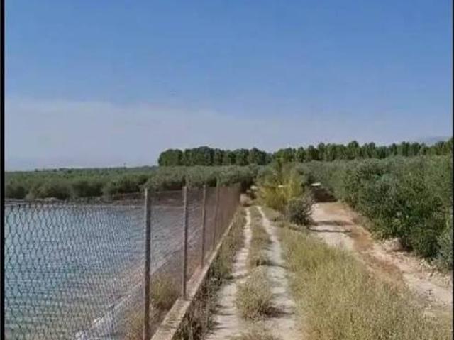 Terreno en venta en Alcalá La Real, Andalucía