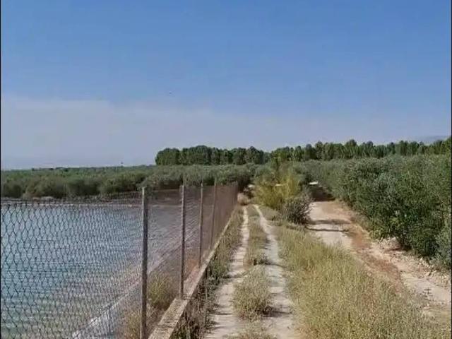 Terreno en venta en Alcalá la Real, Jaén