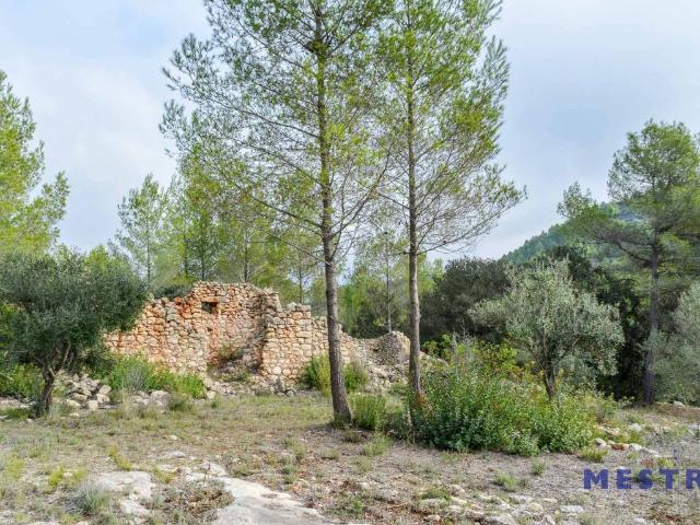 Terreno en venta en Alcalalí, Valencia