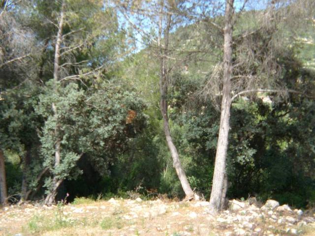 Terreno en venta en Alcalalí