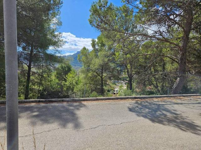 Terreno en venta en Alcalalí, Partida la Solana