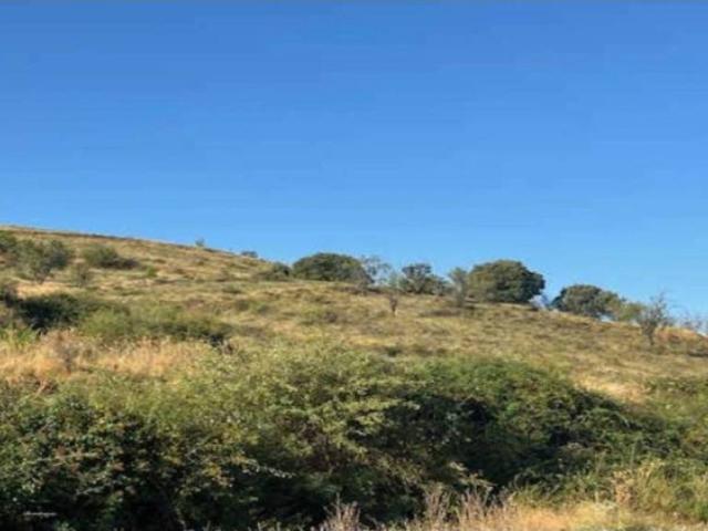 Terreno en venta en Alcanadre, La Rioja