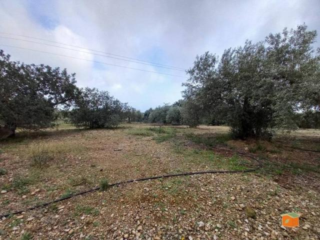 Terreno en venta en Montsià, Catalunya